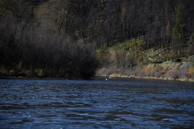 DSC_0251 (Large).JPG